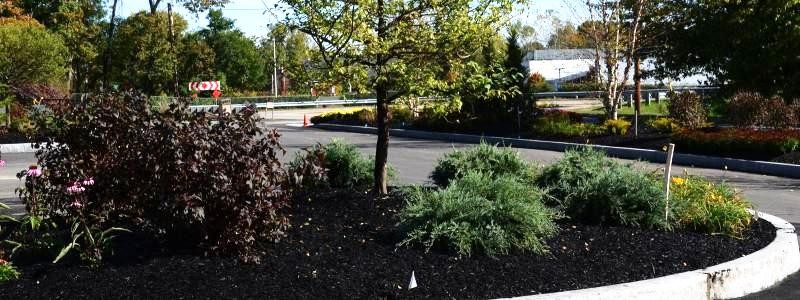 Commercial Landscaping